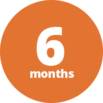 6mo-icon