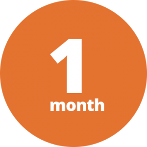 1mo-icon