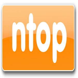 ntop logo-1