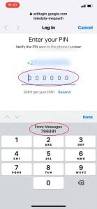 mobile_ios_enter_sms_verification_code