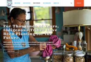 10 Blogging Best Practices for Nonprofits